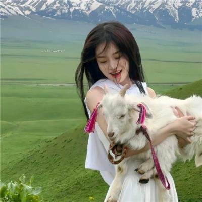 天使的战争海报